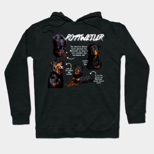 Rottweiler Fun Facts Hoodie